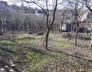 Telek eladó on Dezmir