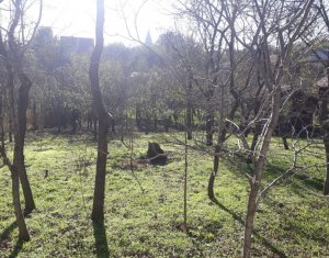 Telek eladó on Dezmir