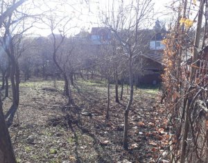 Telek eladó on Dezmir