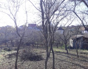 Telek eladó on Dezmir