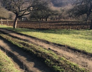 , 2880m2 on Floresti