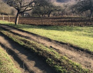 Telek eladó on Floresti