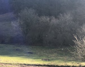 Telek eladó on Floresti