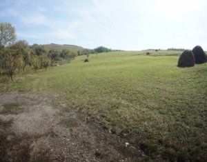 Land for rent in Cluj-napoca, zone Sopor