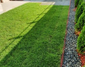 Ház 4 szobák kiadó on Cluj-napoca, Zóna Borhanci