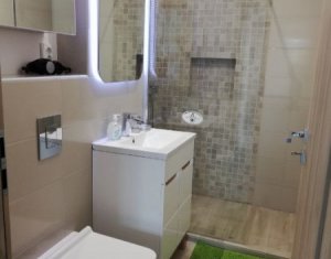 Appartement 2 chambres à louer dans Cluj-napoca, zone Buna Ziua