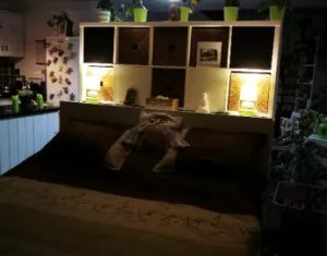 Lakás 2 szobák eladó on Cluj-napoca, Zóna Baciu