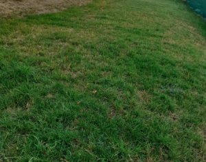 Ház 4 szobák eladó on Feleacu