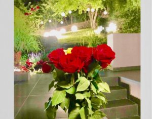 Ház 7 szobák kiadó on Cluj-napoca, Zóna Centru