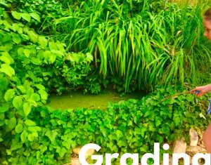 Ház 7 szobák kiadó on Cluj-napoca, Zóna Centru