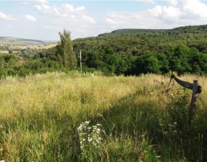 Telek eladó on Feleacu