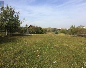 , 2300m2 on Cluj-napoca, Zóna Borhanci