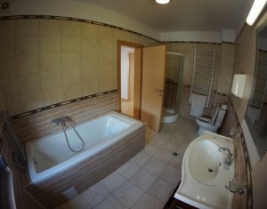 Appartement 4 chambres à louer dans Cluj-napoca, zone Europa