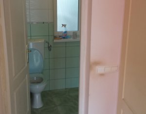 Maison 4 chambres à louer dans Cluj-napoca, zone Europa