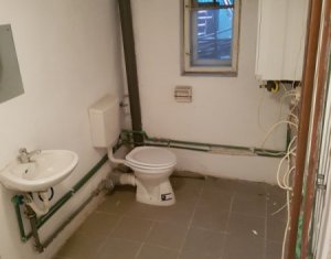 Maison 4 chambres à louer dans Cluj-napoca, zone Andrei Muresanu