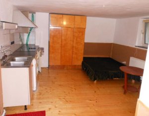 Studio à louer dans Cluj-napoca, zone Grigorescu