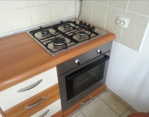 Appartement 1 chambres à louer dans Cluj-napoca, zone Iris