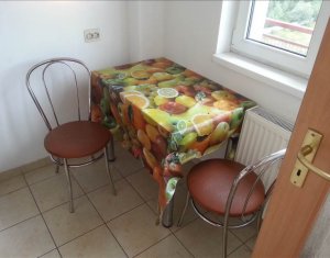 Appartement 1 chambres à louer dans Cluj-napoca, zone Iris