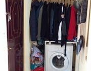 Studio à louer dans Cluj-napoca, zone Centru