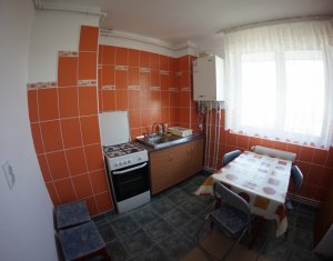 Appartement 2 chambres à louer dans Cluj-napoca, zone Gheorgheni