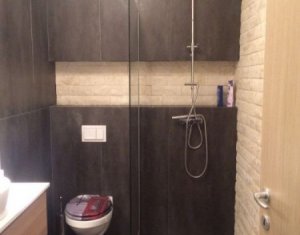 Lakás 2 szobák kiadó on Cluj-napoca, Zóna Andrei Muresanu