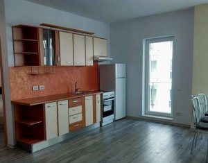 Lakás 2 szobák kiadó on Cluj-napoca, Zóna Intre Lacuri