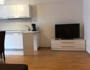 Lakás 2 szobák kiadó on Cluj-napoca, Zóna Manastur