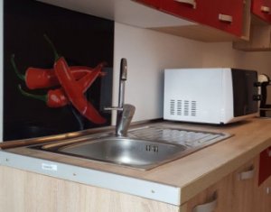 Lakás 2 szobák kiadó on Cluj-napoca, Zóna Intre Lacuri