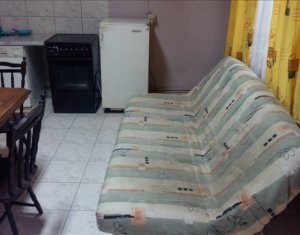 Appartement 1 chambres à louer dans Cluj-napoca, zone Iris
