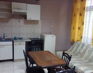Appartement 1 chambres à louer dans Cluj-napoca, zone Iris
