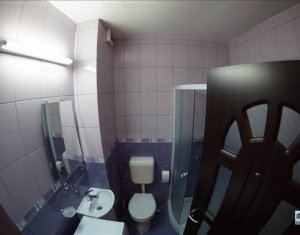Appartement 3 chambres à louer dans Cluj-napoca, zone Andrei Muresanu