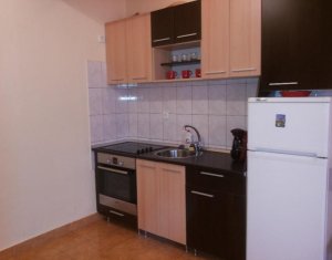 Appartement 1 chambres à louer dans Cluj-napoca, zone Manastur