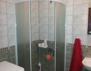 Appartement 1 chambres à louer dans Cluj-napoca, zone Manastur