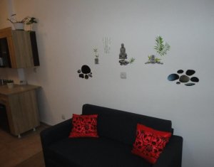 Appartement 1 chambres à louer dans Cluj-napoca, zone Intre Lacuri