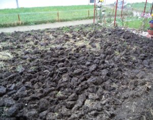 Lakás 2 szobák kiadó on Cluj-napoca