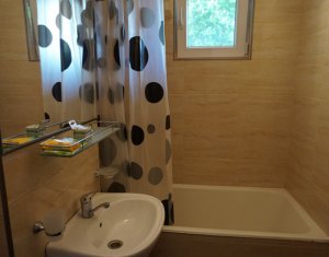 Appartement 2 chambres à louer dans Cluj-napoca, zone Gheorgheni