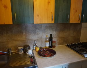 Appartement 1 chambres à louer dans Cluj-napoca, zone Marasti