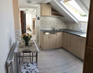 Appartement 1 chambres à louer dans Cluj-napoca, zone Centru