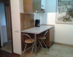 Appartement 1 chambres à louer dans Cluj-napoca, zone Andrei Muresanu