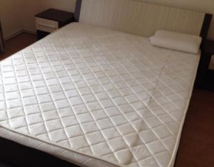 Appartement 2 chambres à louer dans Cluj-napoca, zone Grigorescu