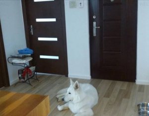 Appartement 3 chambres à louer dans Cluj-napoca, zone Manastur