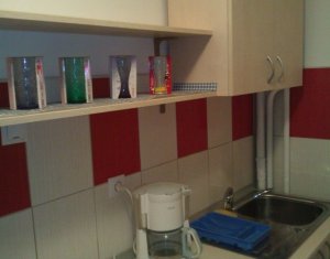 Appartement 1 chambres à louer dans Cluj-napoca, zone Marasti