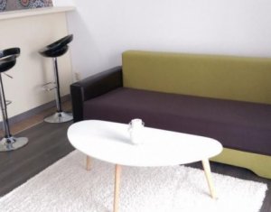 Appartement 1 chambres à louer dans Cluj-napoca, zone Andrei Muresanu