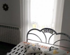 Appartement 1 chambres à louer dans Cluj-napoca, zone Andrei Muresanu