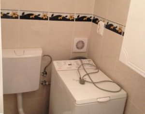 Appartement 1 chambres à louer dans Cluj-napoca, zone Intre Lacuri