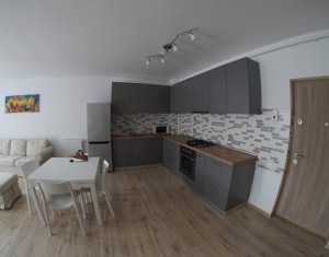 Appartement 2 chambres à louer dans Cluj-napoca, zone Intre Lacuri