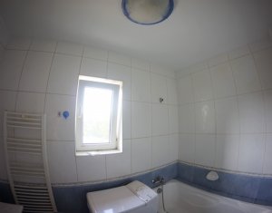Appartement 1 chambres à louer dans Cluj-napoca, zone Manastur