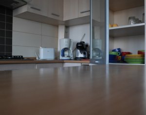 Appartement 2 chambres à louer dans Cluj-napoca, zone Gheorgheni