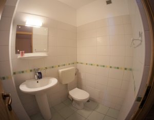 Appartement 3 chambres à louer dans Cluj-napoca, zone Marasti
