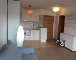 Appartement 2 chambres à louer dans Cluj-napoca, zone Gheorgheni